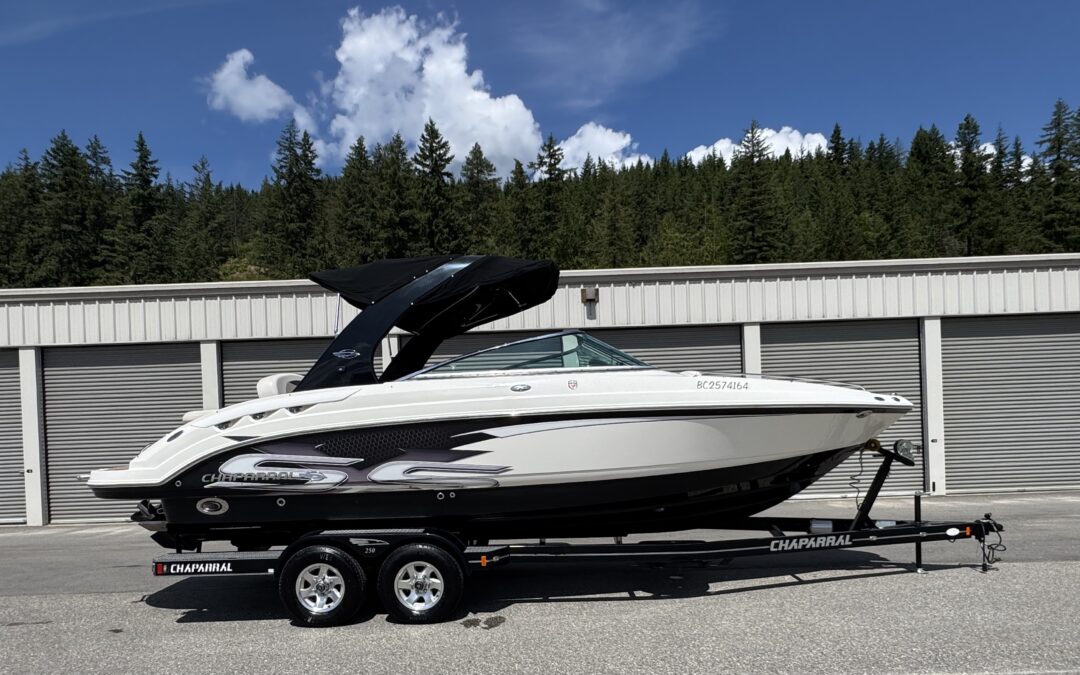 2010 Chaparral 256 SS