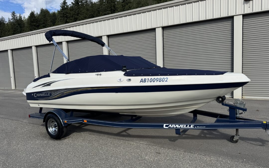 2007 Caravelle LS 187