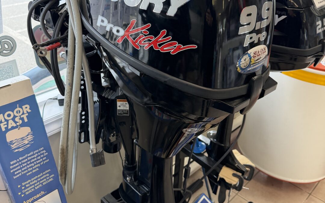 2015 Mercury 9.9 pro kicker