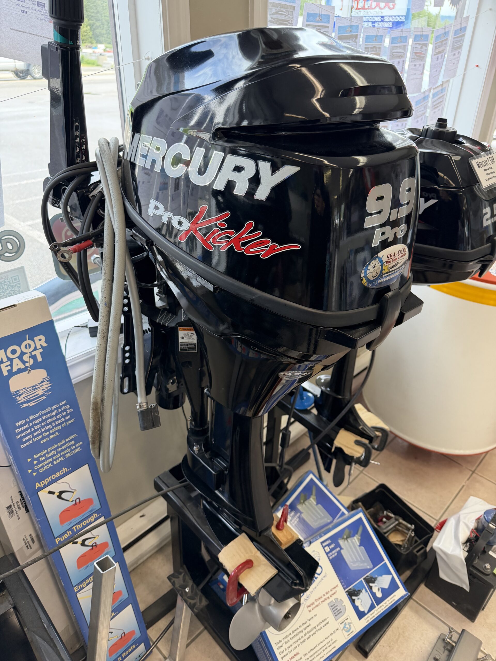 2015 Mercury 9.9 pro kicker-image