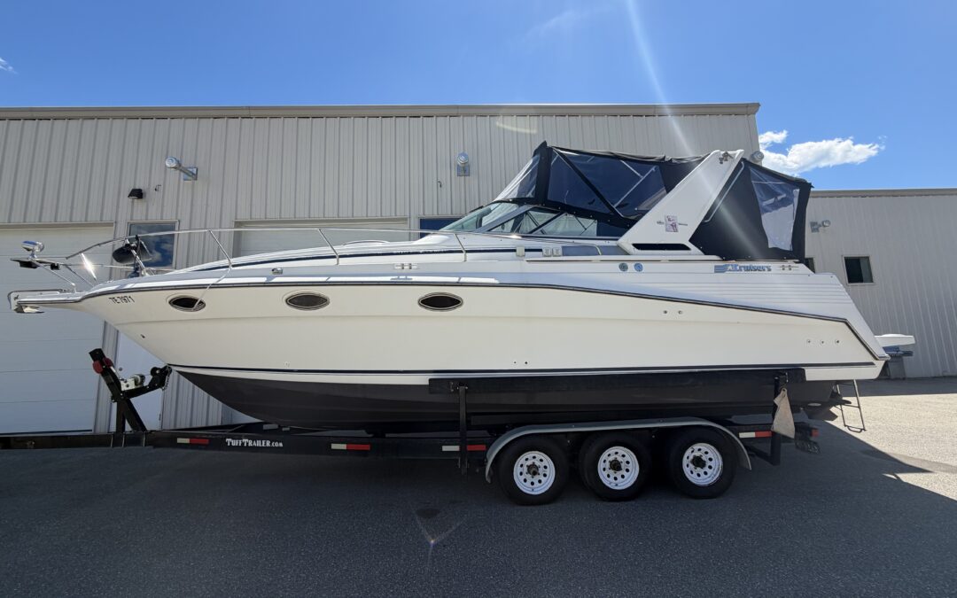 1991 Cruisers inc 3375 Rogue